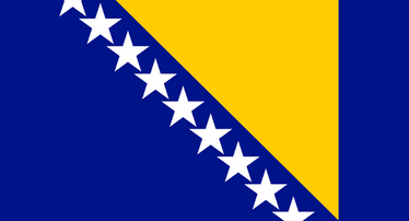 Panel online serta menggunakan seluler di Bosnia dan Herzegovina