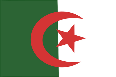 Panel online serta menggunakan seluler di Algeria