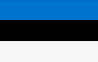 Riset Pasar secara online di Estonia