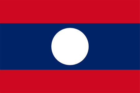 Riset Pasar Panel Online di Laos