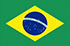 Riset Pasar Panel Online di Brazil