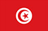 Panel online serta menggunakan seluler di Tunisia