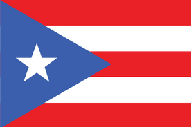 Riset Pasar secara online di Puerto Riko