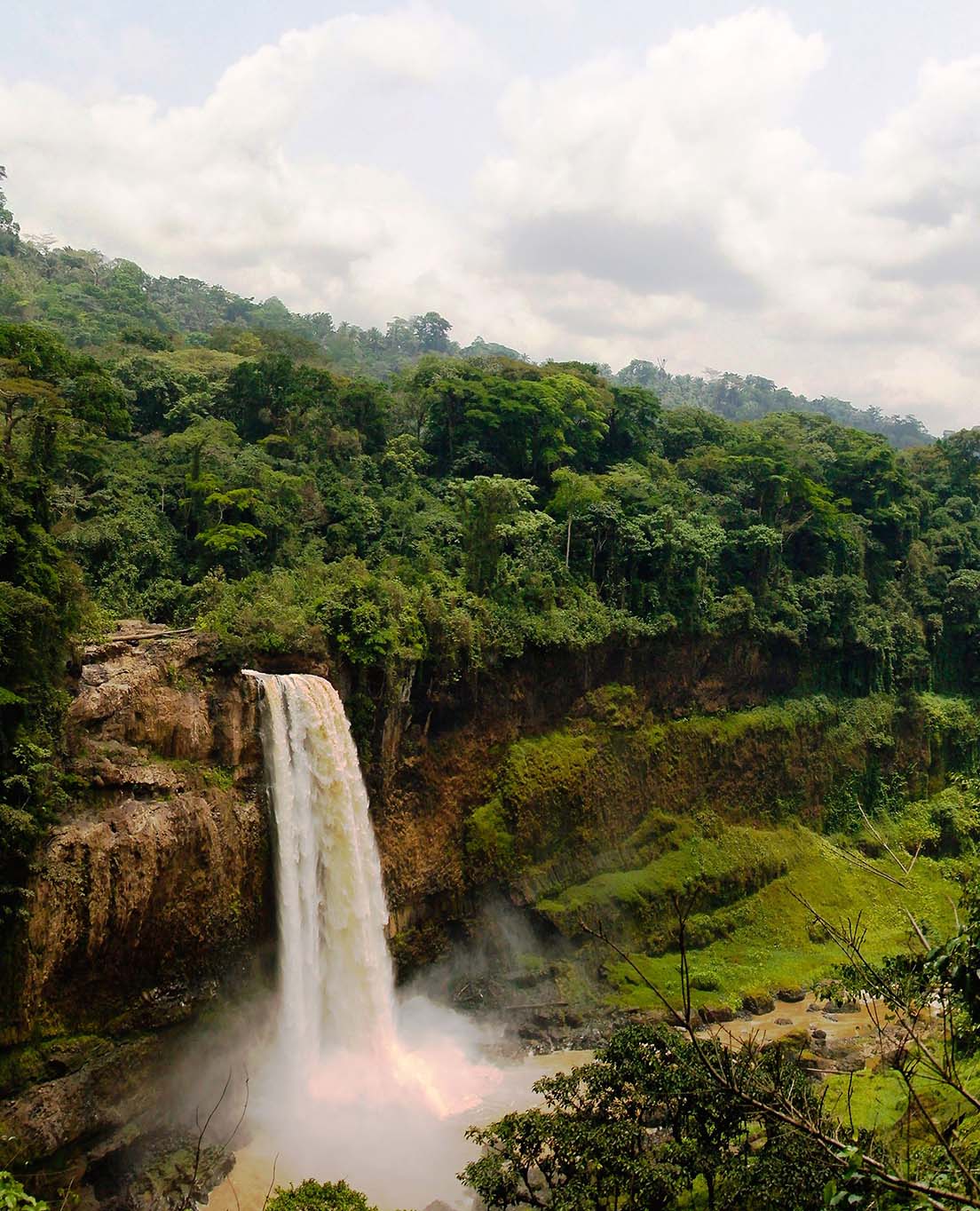 Sekilas Kamerun 