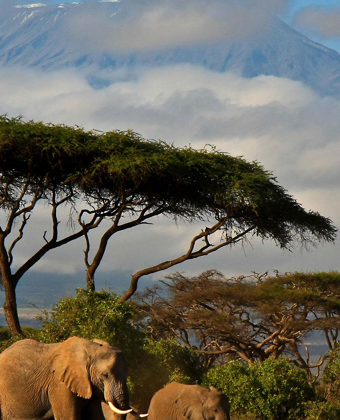 Sekilas Kenya 