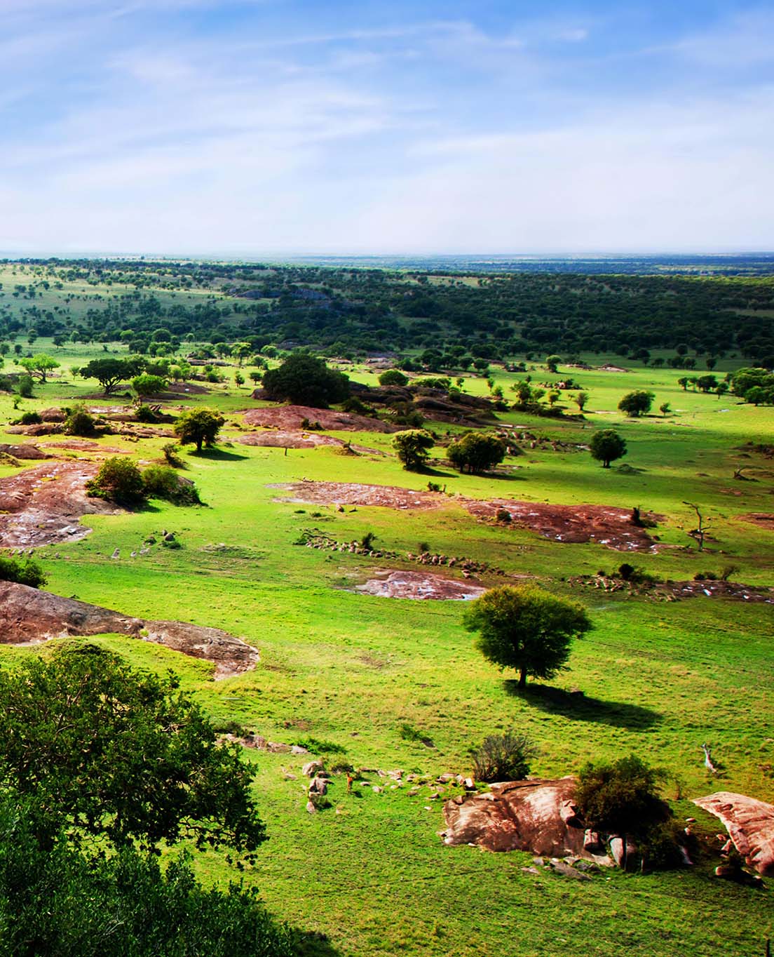 Sekilas Tanzania