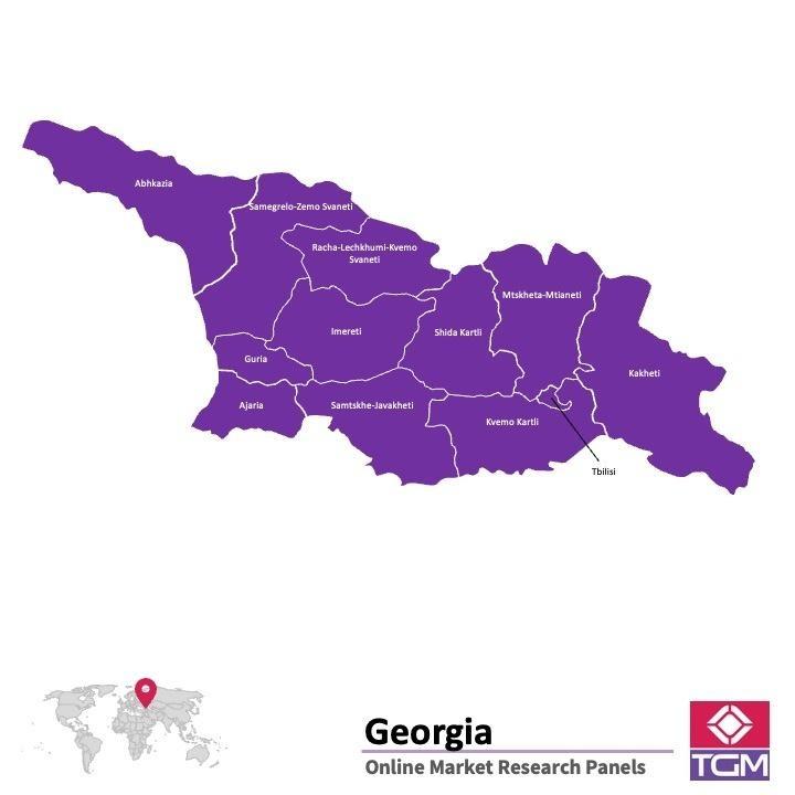 PANEL ONLINE DI GEORGIA | Riset Pasar di Georgia