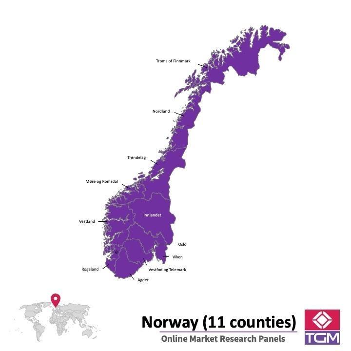 PANEL ONLINE DI NORWEGIA | Riset Pasar di Norwegia