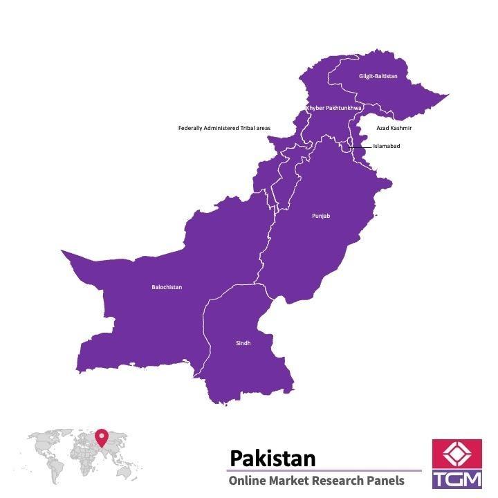 PANEL ONLINE DI PAKISTAN | Riset Pasar di Pakistan