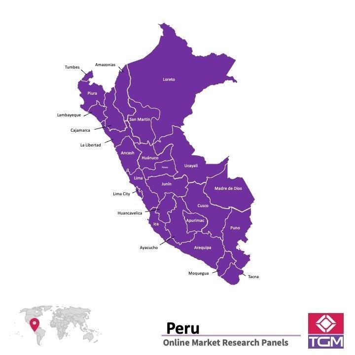 PANEL ONLINE DI PERU | Riset Pasar di Peru
