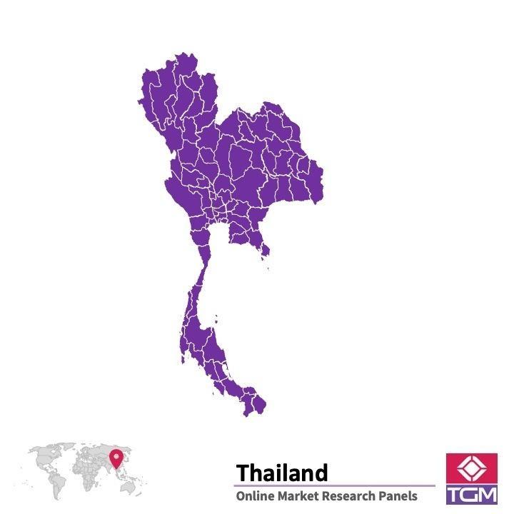 PANEL ONLINE DI THAILAND | Riset Pasar di Thailand