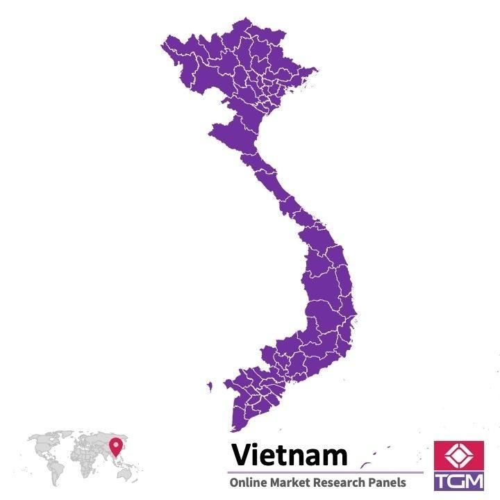 PANEL ONLINE DI VIETNAM |  Riset Pasar di Vietnam