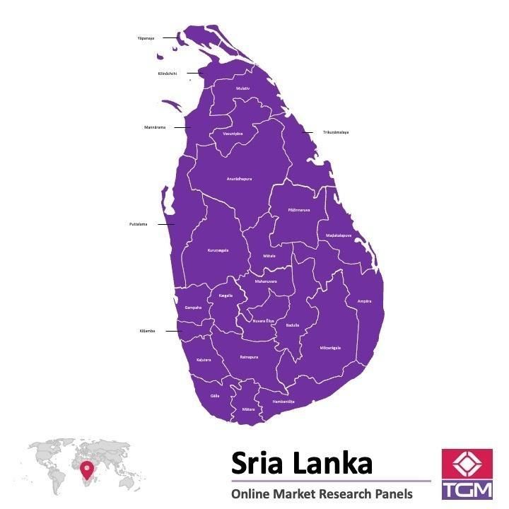 PANEL ONLINE DI SRI LANKA |  Riset Pasar di Sri Lanka