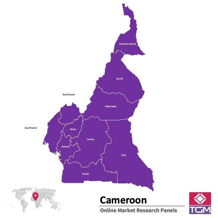 PANEL ONLINE DI KAMERUN |  Riset Pasar di Kamerun