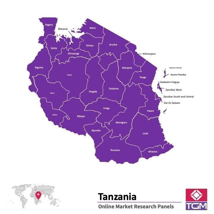 PANEL ONLINE DI TANZANIA |  Riset Pasar di Tanzania