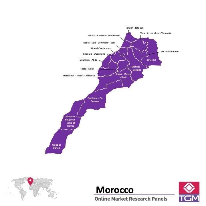 PANEL ONLINE DI MAROKO |  Riset Pasar di Maroko