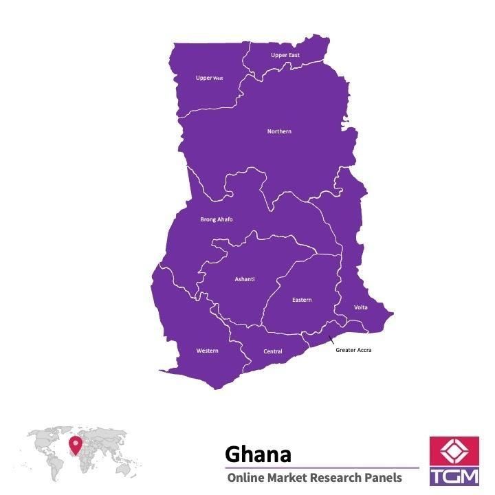 PANEL ONLINE DI GHANA |  Riset Pasar di Ghana
