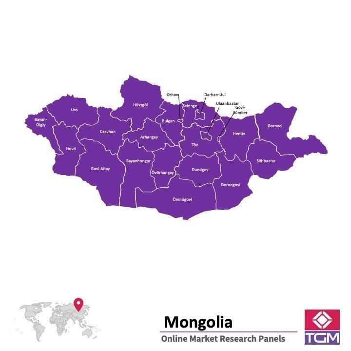 PANEL ONLINE DI MONGOLIA |  Riset Pasar di Mongolia