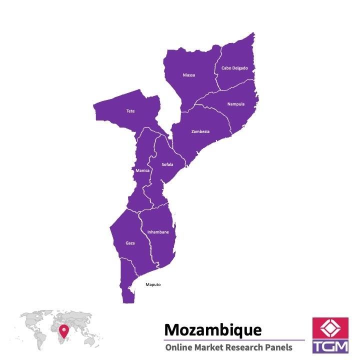 PANEL ONLINE DI MOZAMBIK |  Riset Pasar di Mozambik