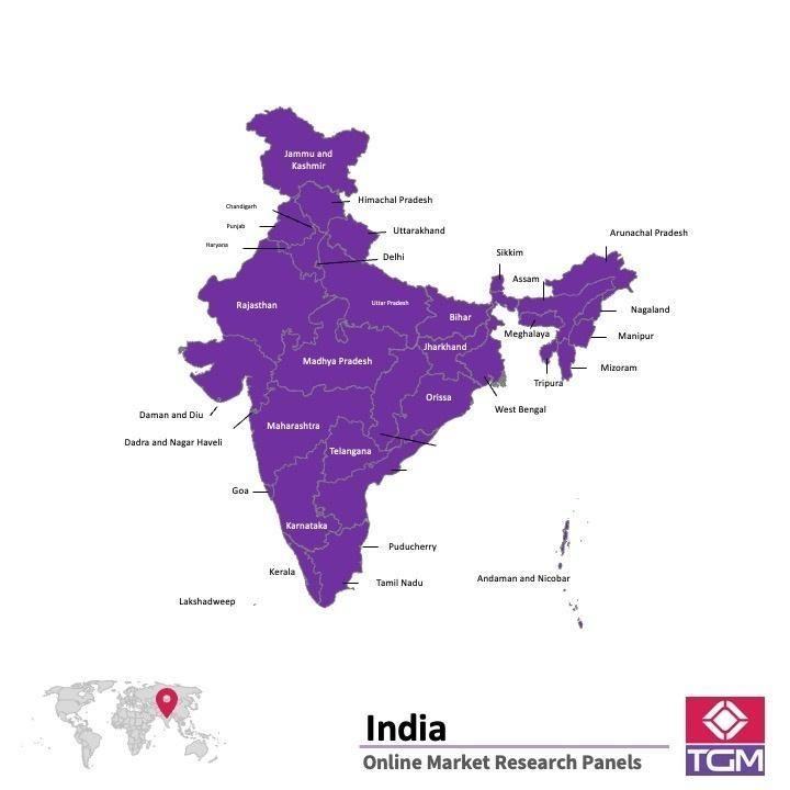 PANEL ONLINE DI INDIA |  Riset Pasar di India