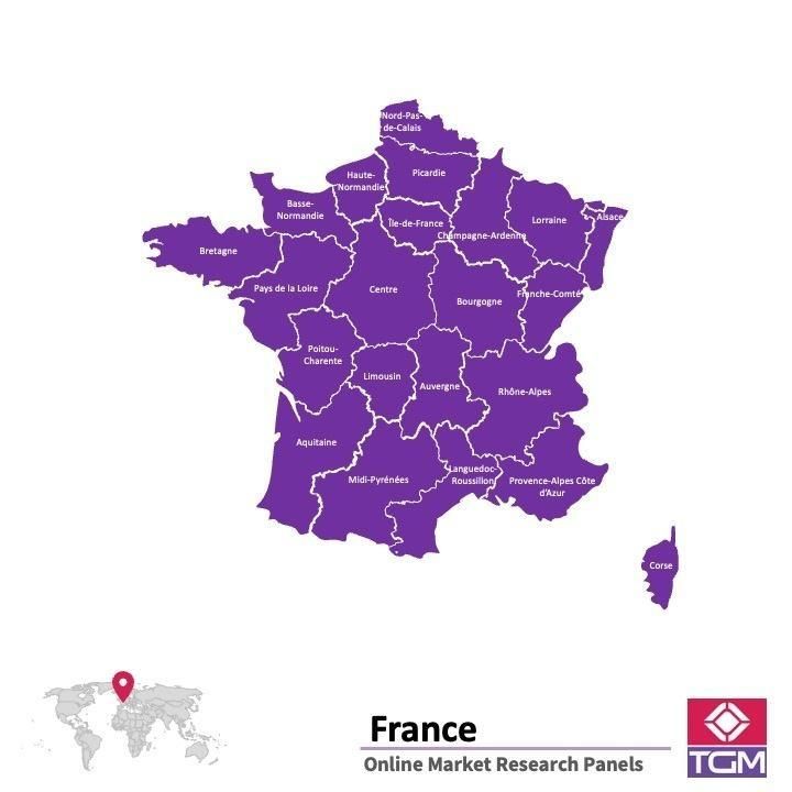 PANEL ONLINE DI PERANCIS |  Riset Pasar di Perancis