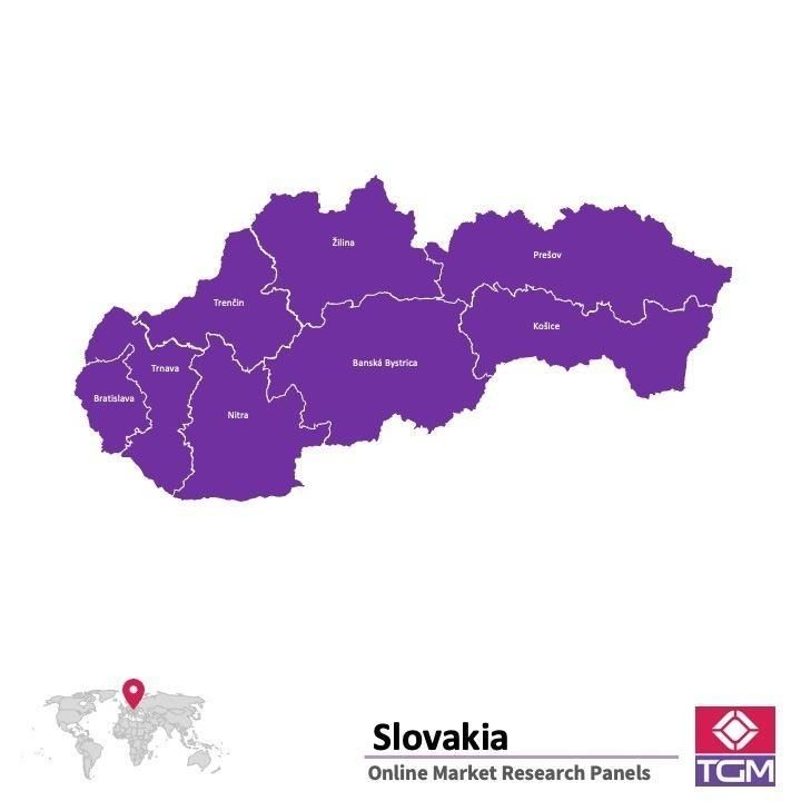 PANEL ONLINE DI SLOVAKIA |  Riset Pasar di Slovakia