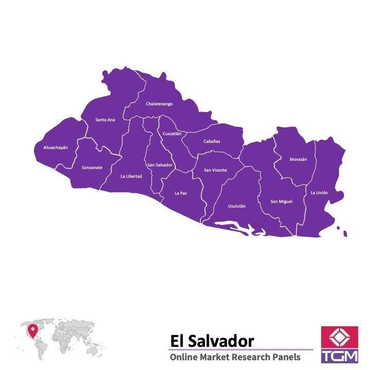 PANEL ONLINE DI EL SALVADOR |  Riset Pasar di El Salvador