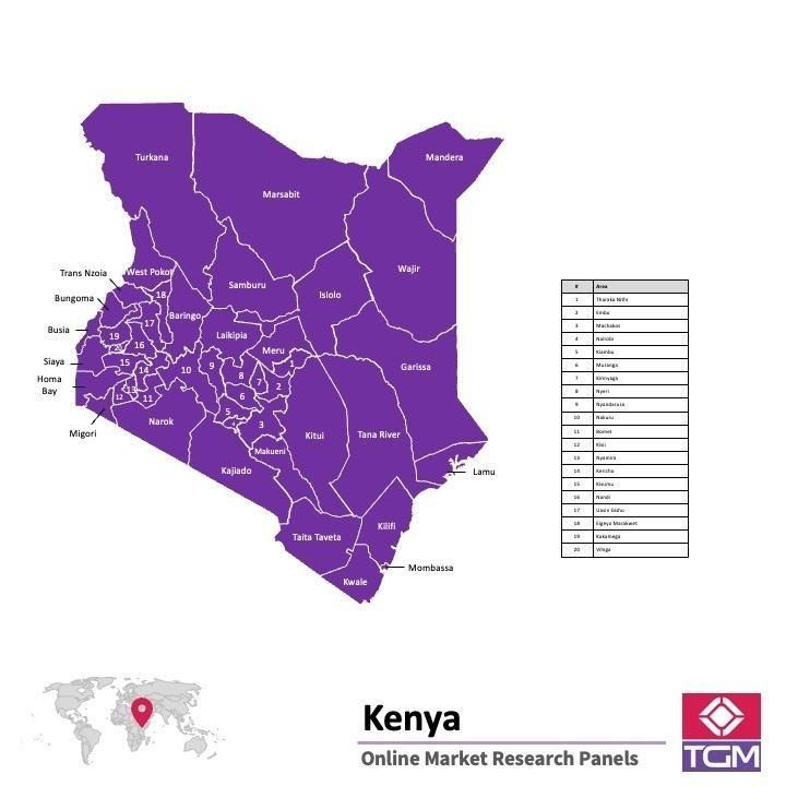 PANEL ONLINE DI KENYA |  Riset Pasar di Kenya