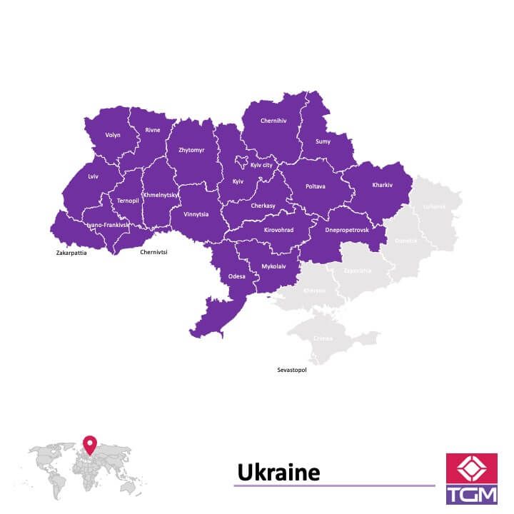 PANEL ONLINE DI UKRAINA |  Riset Pasar di Ukraina