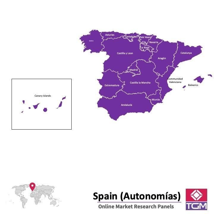 PANEL ONLINE DI SPANYOL |  Riset Pasar di Spanyol