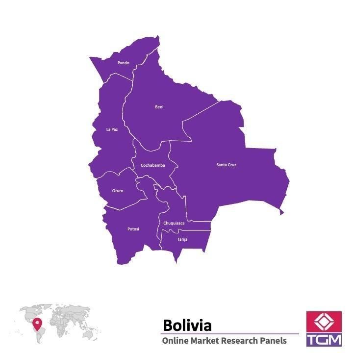 PANEL ONLINE DI BOLIVIA |  Riset Pasar di Bolivia