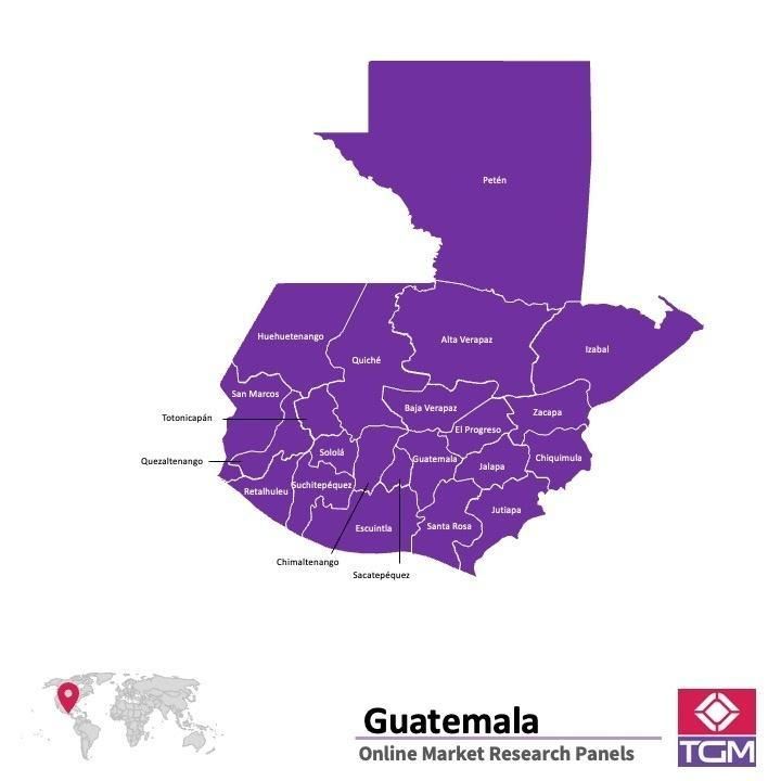 PANEL ONLINE DI GUATEMALA |  Riset Pasar di Guatemala