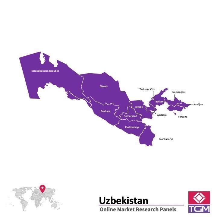 PANEL ONLINE DI UZBEKISTAN |  Riset Pasar di Uzbekistan