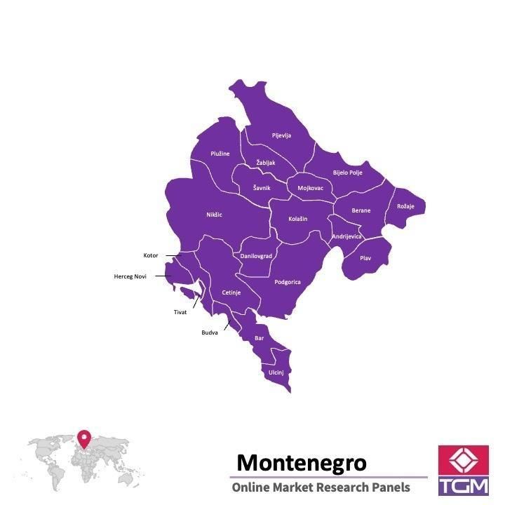 PANEL ONLINE DI MONTENEGRO |  Riset Pasar di Montenegro
