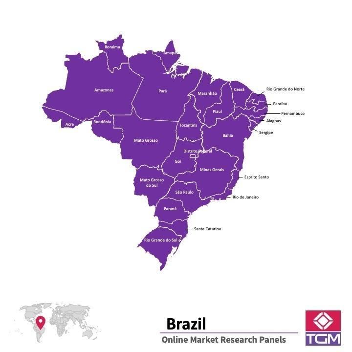 PANEL ONLINE DI BRAZIL |  Riset Pasar di Brazil