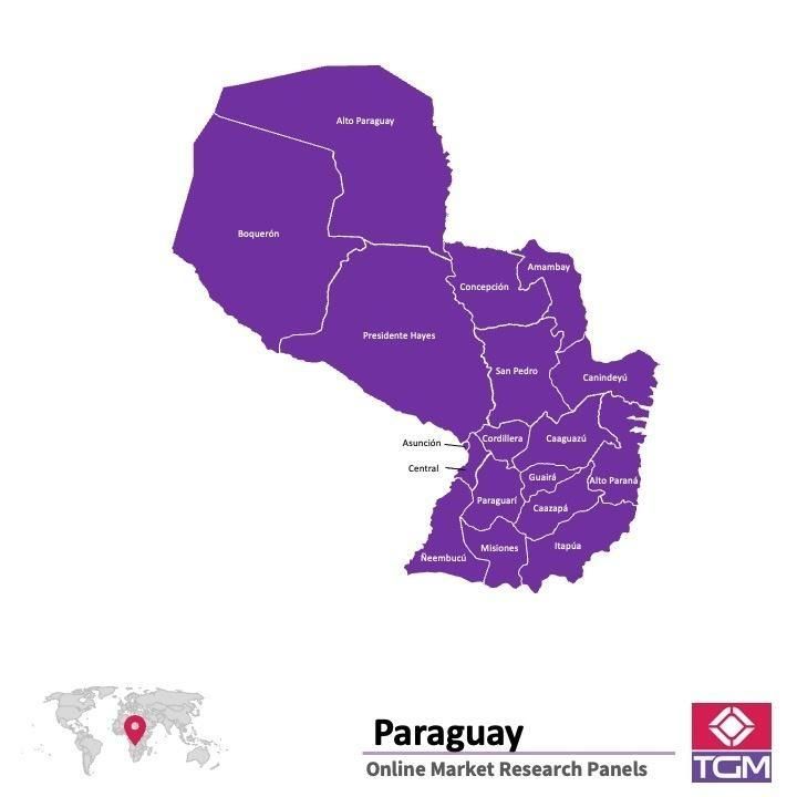 PANEL ONLINE DI PARAGUAY |  Riset Pasar di Paraguay