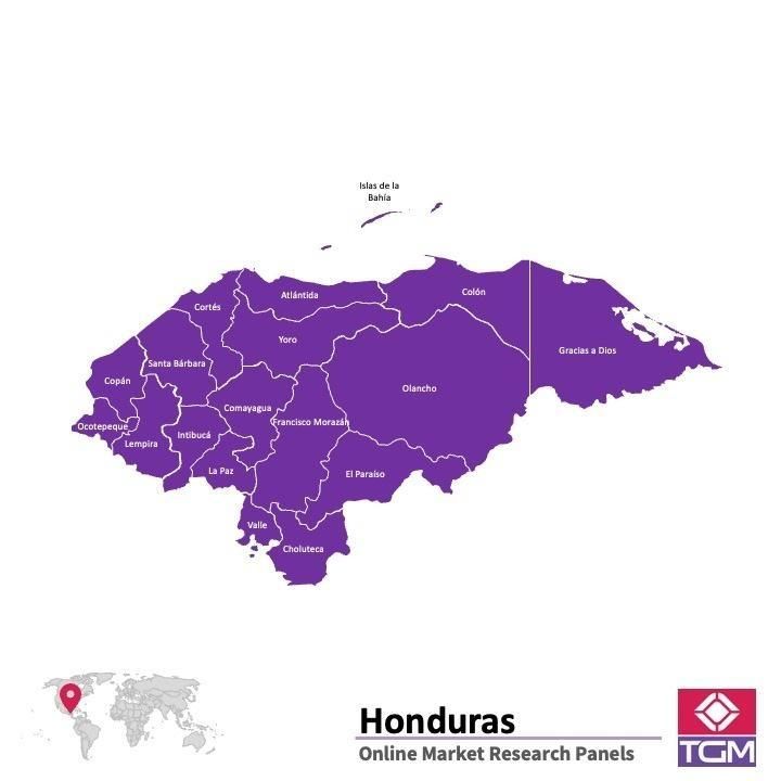PANEL ONLINE DI HONDURAS |  Riset Pasar di Honduras