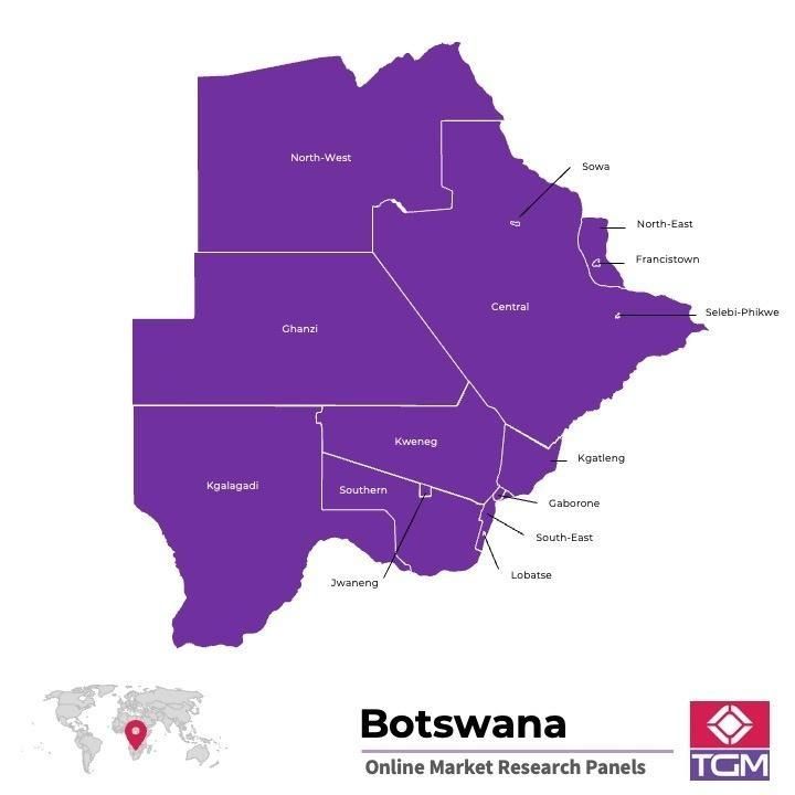 PANEL ONLINE DI BOTSWANA |  Riset Pasar di Botswana
