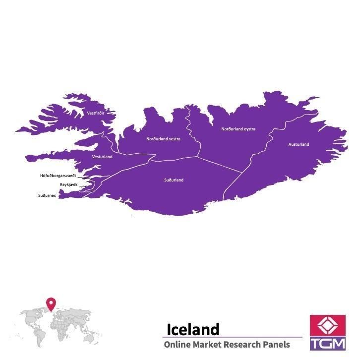 PANEL ONLINE DI ISLANDIA |  Riset Pasar di Islandia