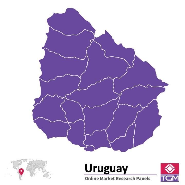 PANEL ONLINE DI URUGUAY |  Riset Pasar di Uruguay