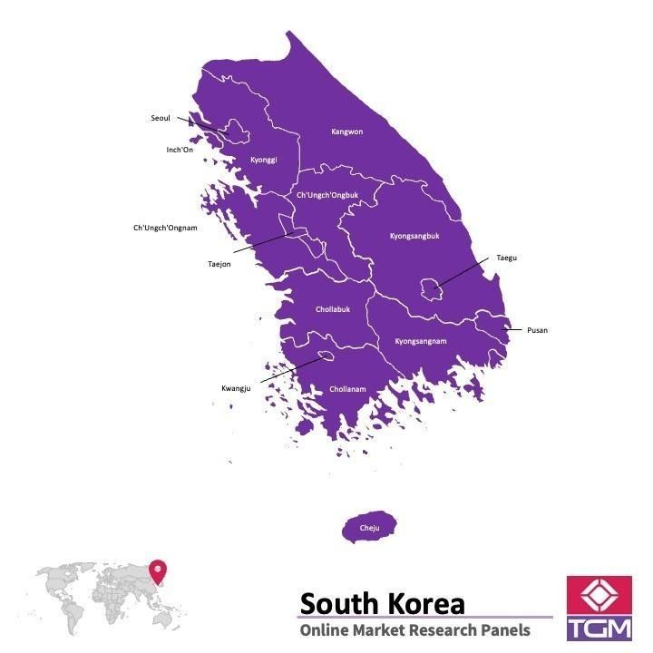PANEL ONLINE DI KOREA SELATAN |  Riset Pasar di Korea Selatan
