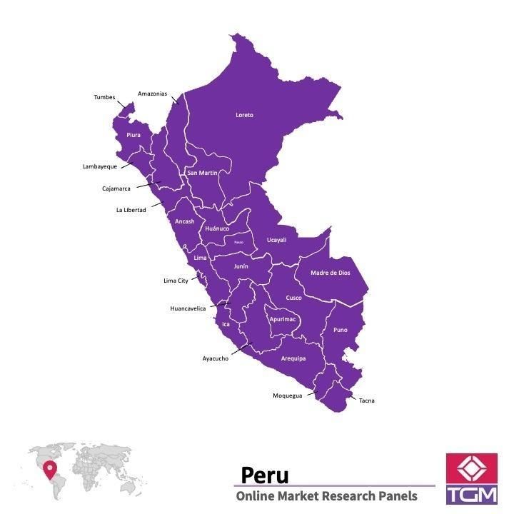 PANEL ONLINE DI PERU |  Riset Pasar di Peru