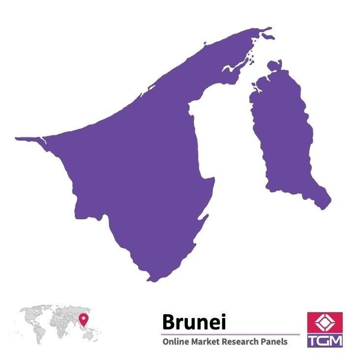 PANEL ONLINE DI BRUNEI |  Riset Pasar di Brunei