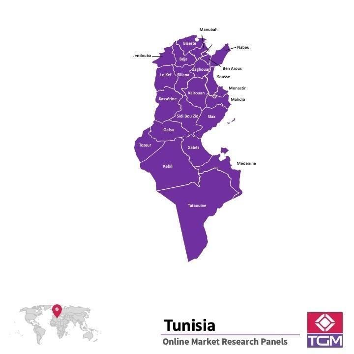 PANEL ONLINE DI TUNISIA |  Riset Pasar di Tunisia