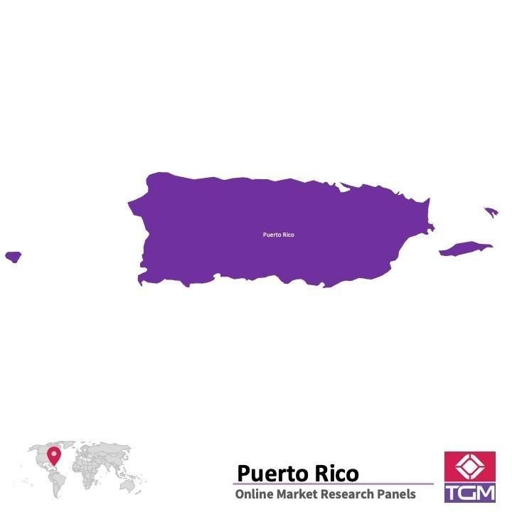 PANEL ONLINE DI PUERTO RIKO |  Riset Pasar di Puerto Riko