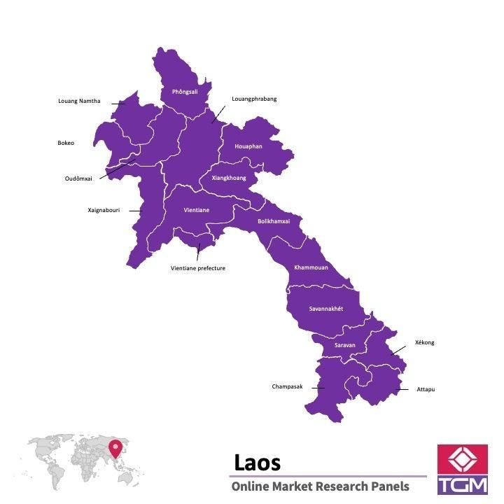 PANEL ONLINE DI LAOS |  Riset Pasar di Laos