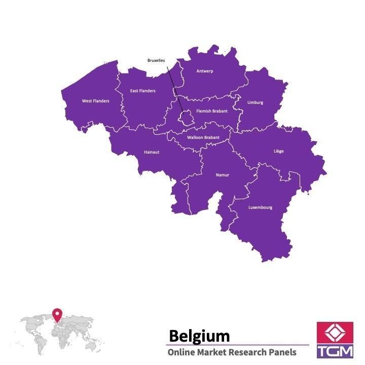 PANEL ONLINE DI BELGIA |  Riset Pasar di Belgia