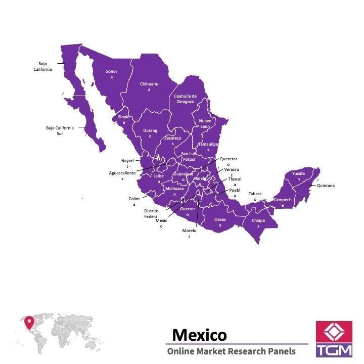 PANEL ONLINE DI MEKSIKO |  Riset Pasar di Meksiko