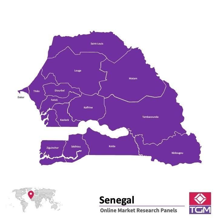 PANEL ONLINE DI SENEGAL |  Riset Pasar di Senegal