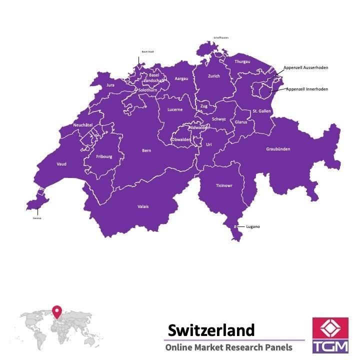 PANEL ONLINE DI SWISS |  Riset Pasar di Swiss